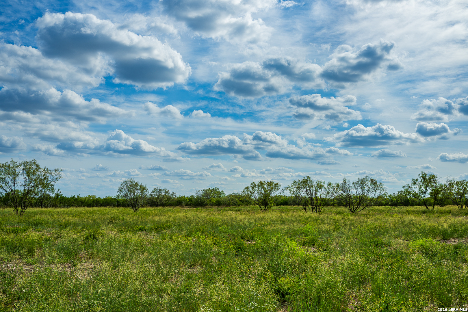514 E FM 140, Christine, TX 78012