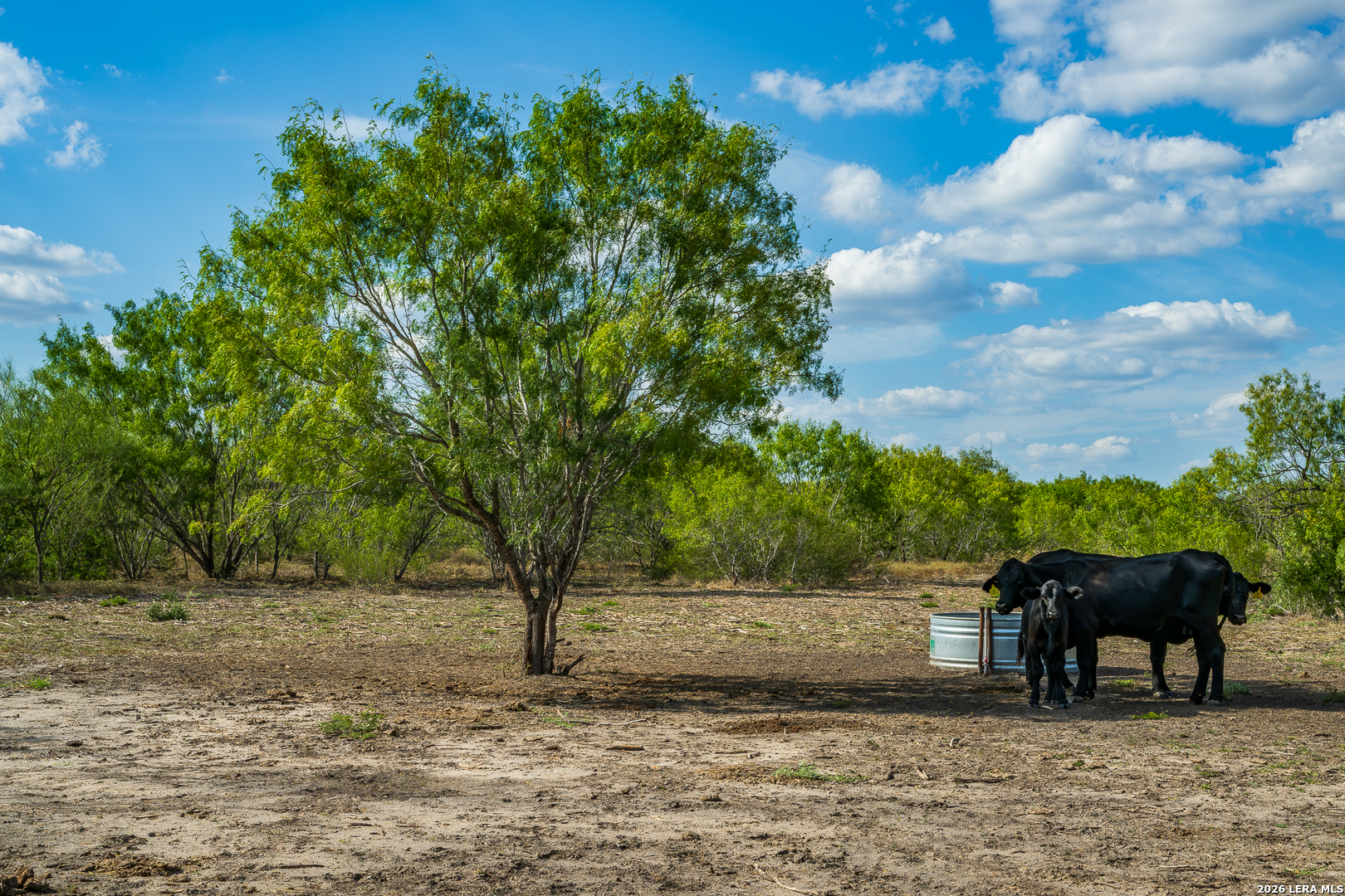 514 E FM 140, Christine, TX 78012