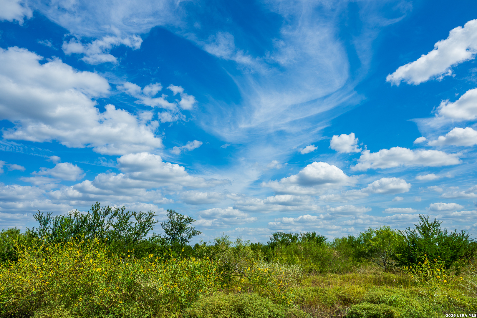 514 E FM 140, Christine, TX 78012
