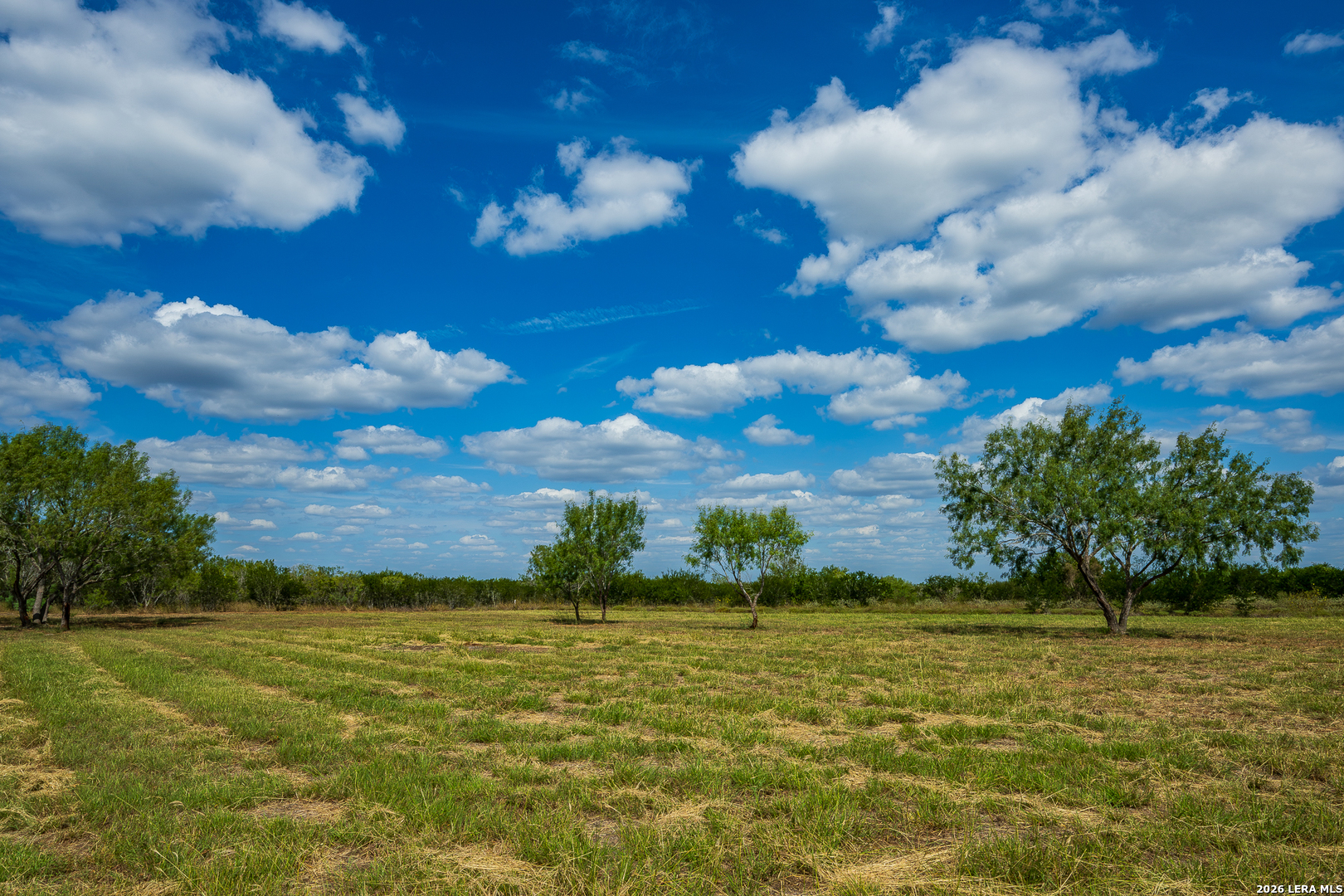 514 E FM 140, Christine, TX 78012
