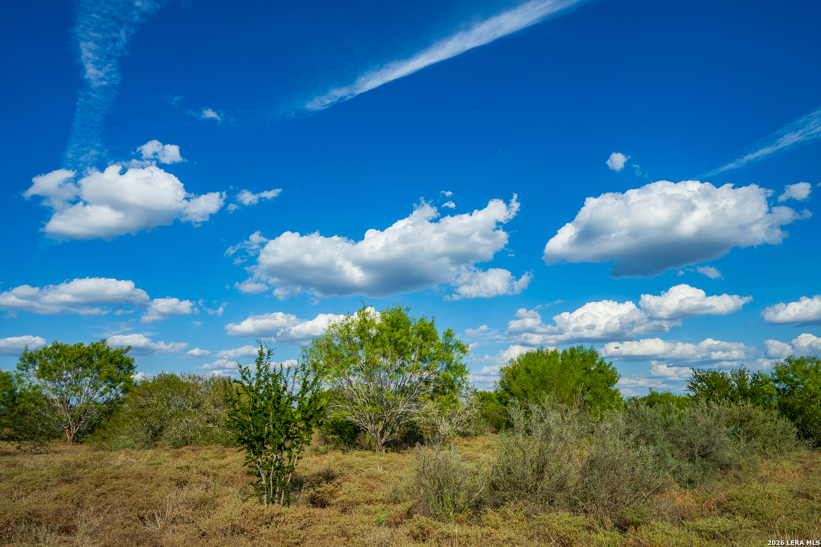 514 E FM 140, Christine, TX 78012