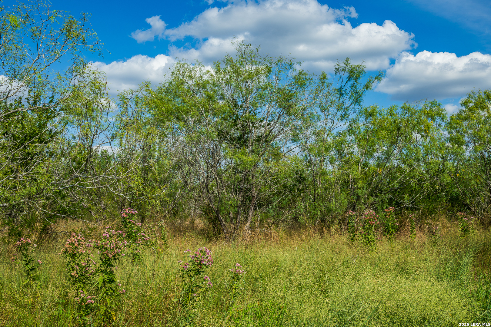 514 E FM 140, Christine, TX 78012