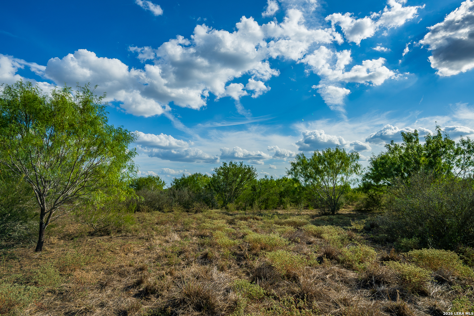 514 E FM 140, Christine, TX 78012