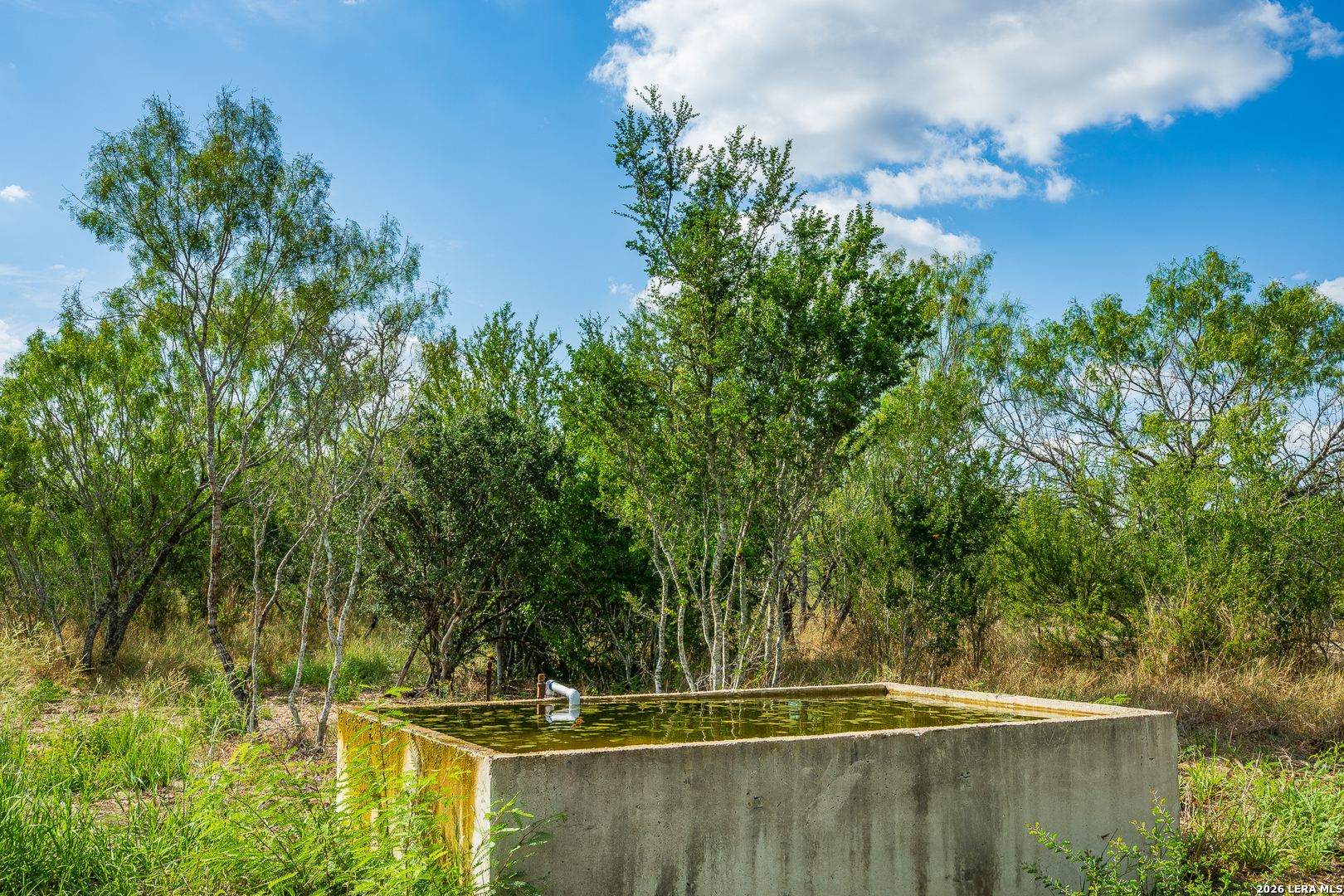 514 E FM 140, Christine, TX 78012