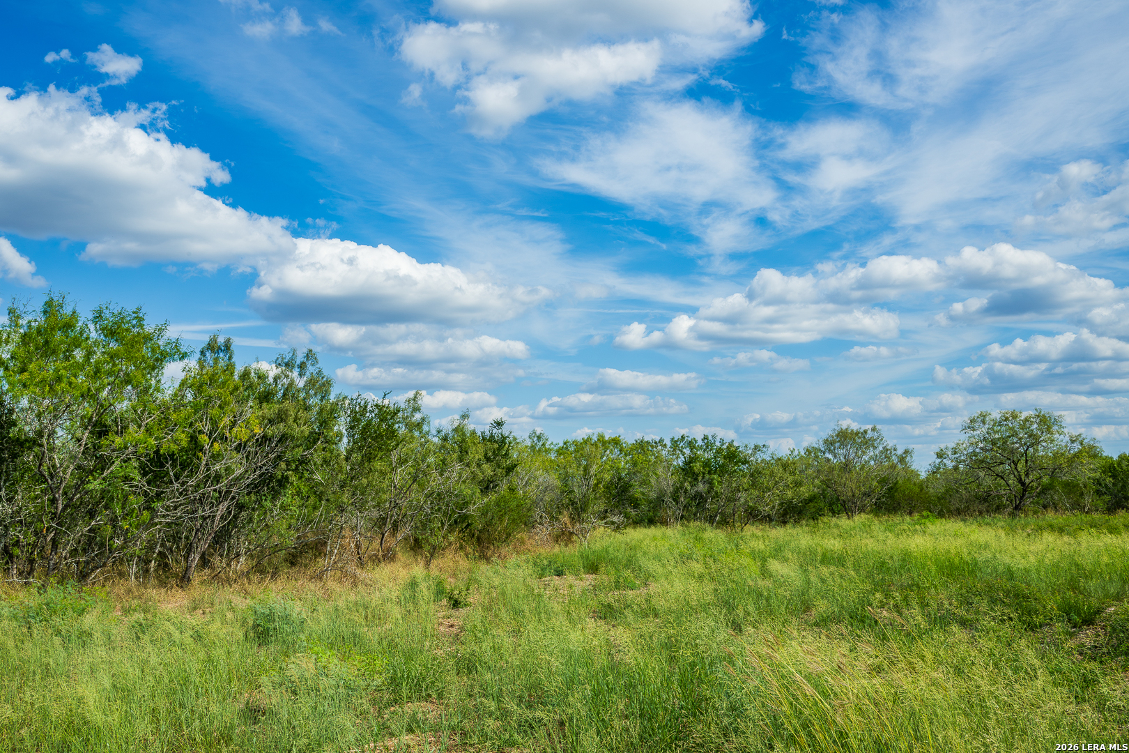 514 E FM 140, Christine, TX 78012