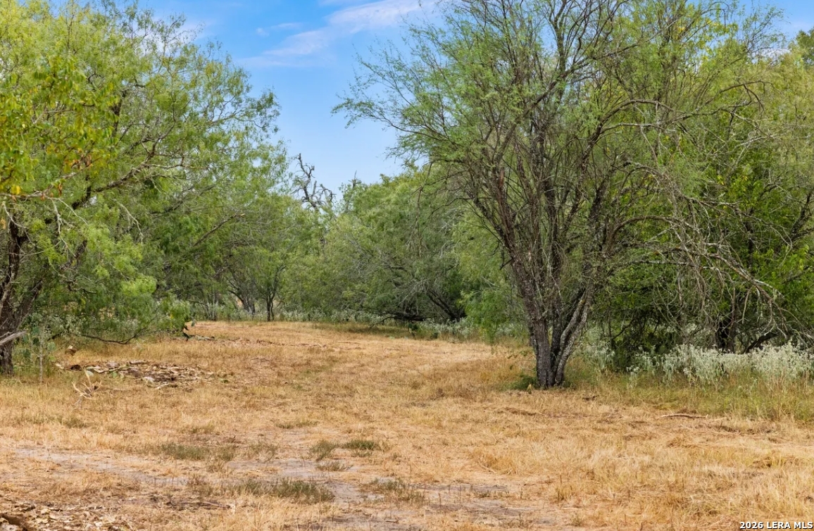 000 CR 171, Nixon, TX 78140