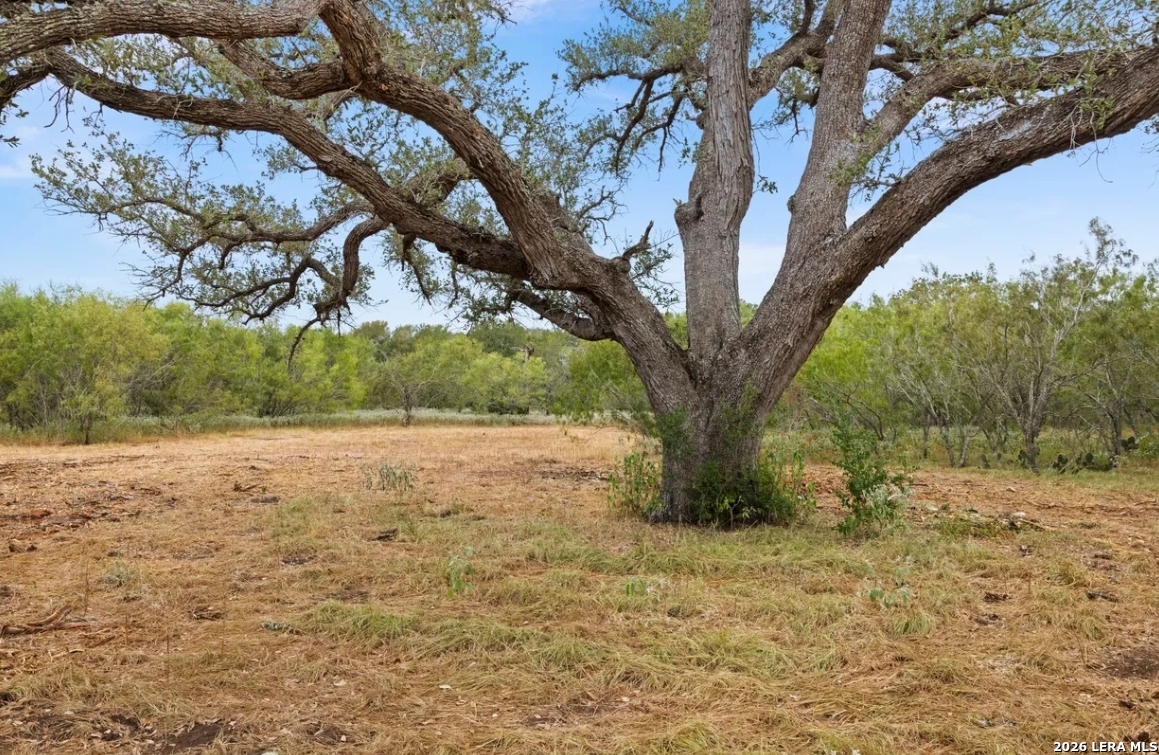 000 CR 171, Nixon, TX 78140