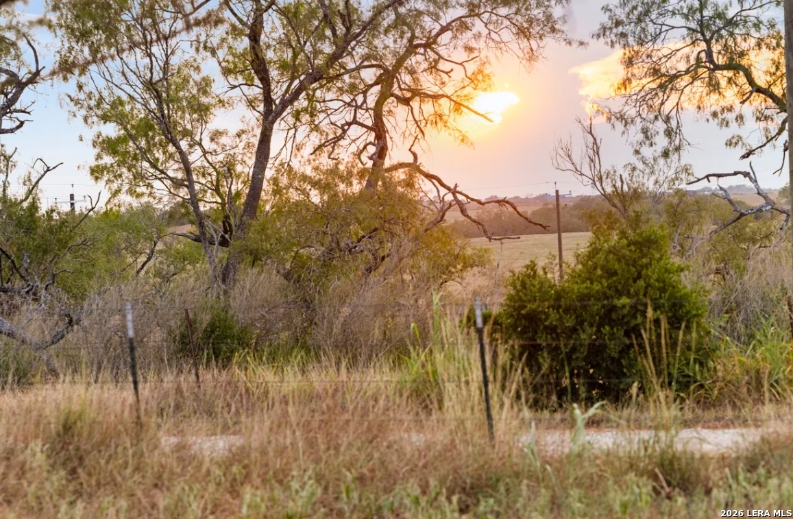 000 CR 171, Nixon, TX 78140