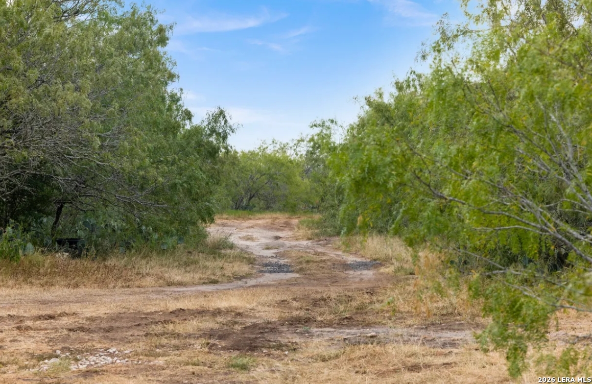 000 CR 171, Nixon, TX 78140