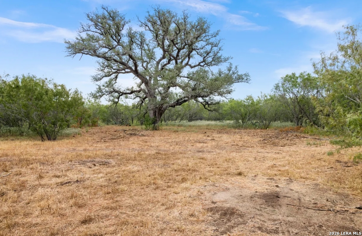 000 CR 171, Nixon, TX 78140