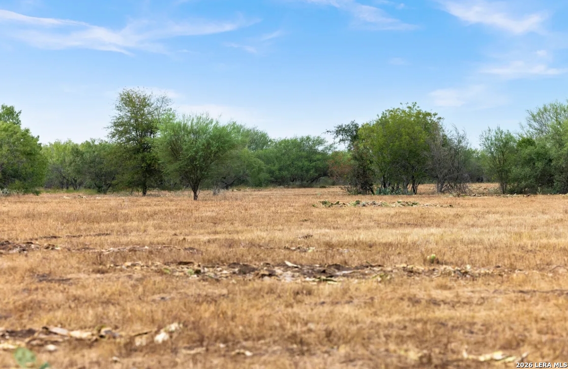 000 CR 171, Nixon, TX 78140