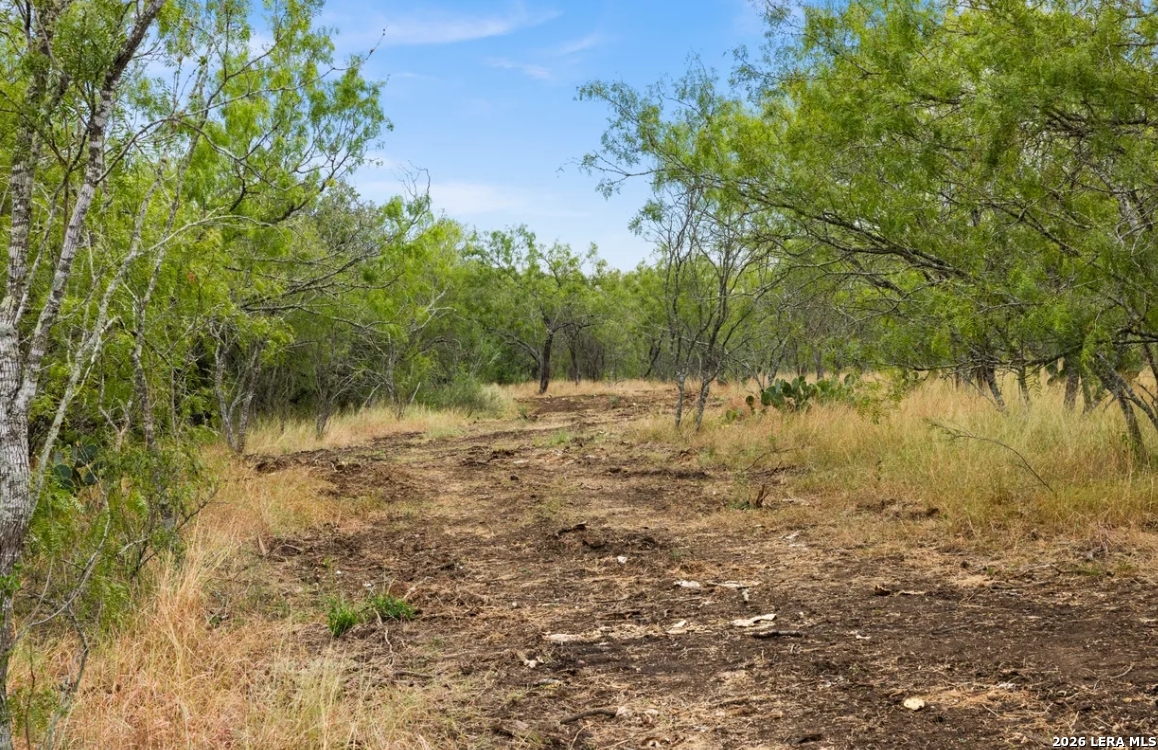 000 CR 171, Nixon, TX 78140