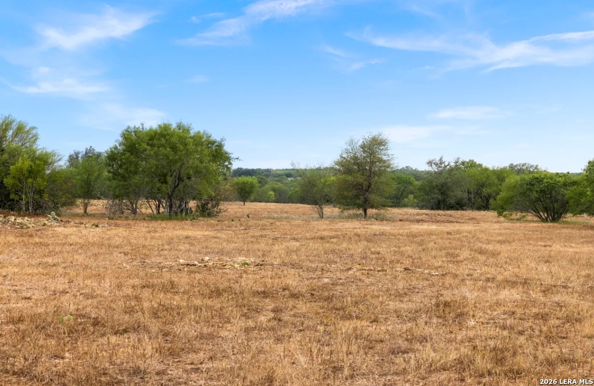000 CR 171, Nixon, TX 78140