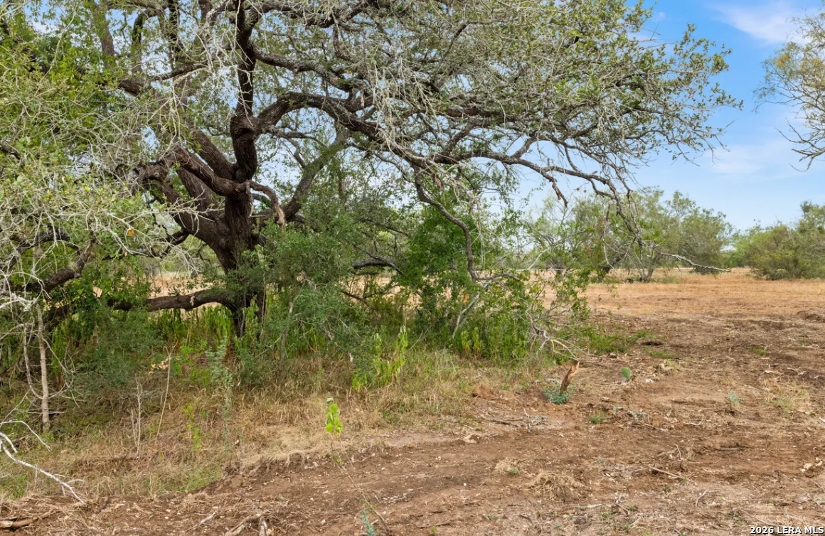 000 CR 171, Nixon, TX 78140