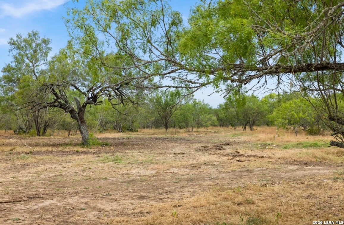 000 CR 171, Nixon, TX 78140