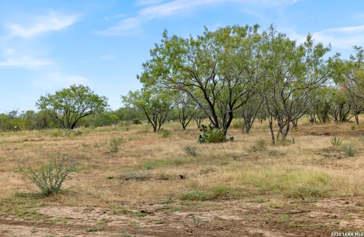 000 CR 171, Nixon, TX 78140