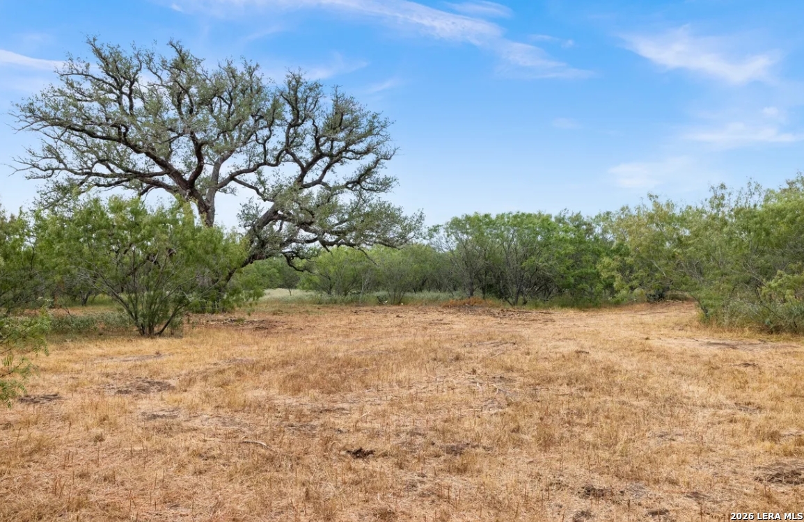 000 CR 171, Nixon, TX 78140