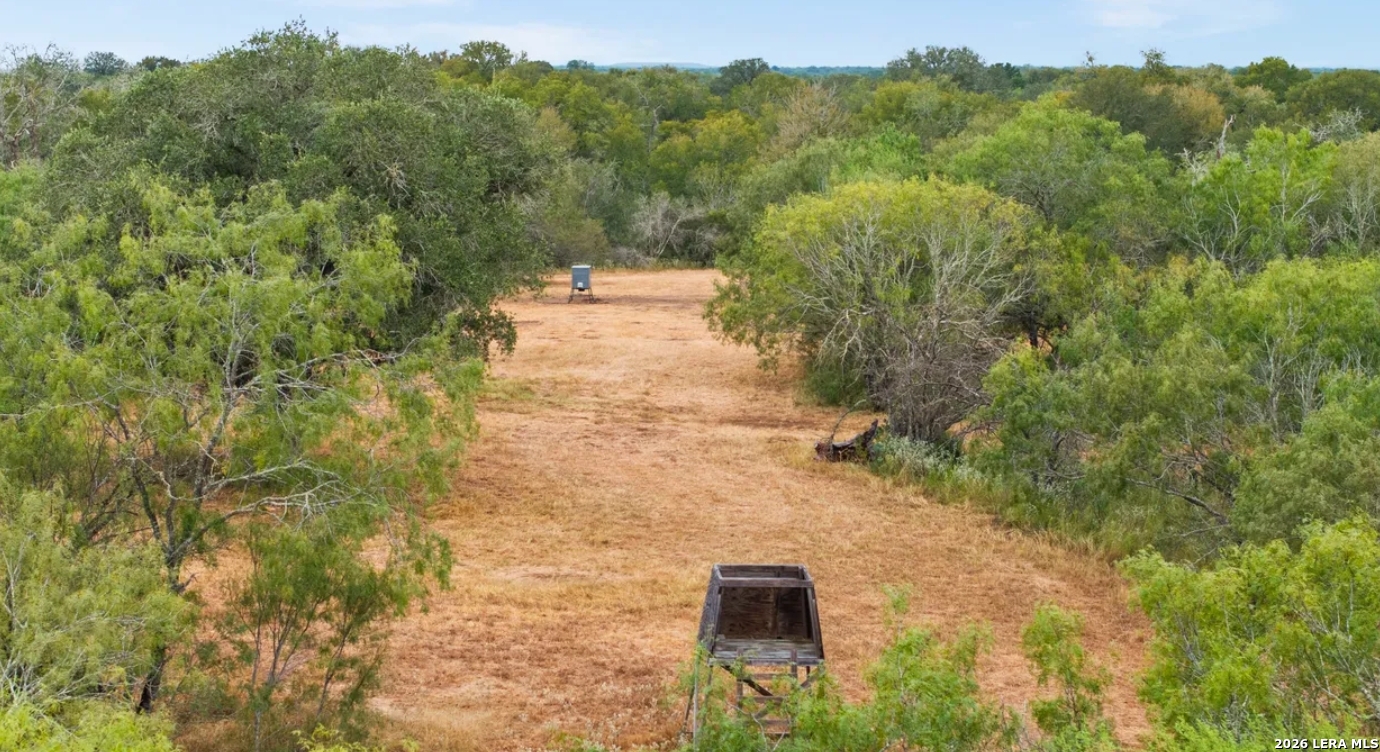 000 CR 171, Nixon, TX 78140