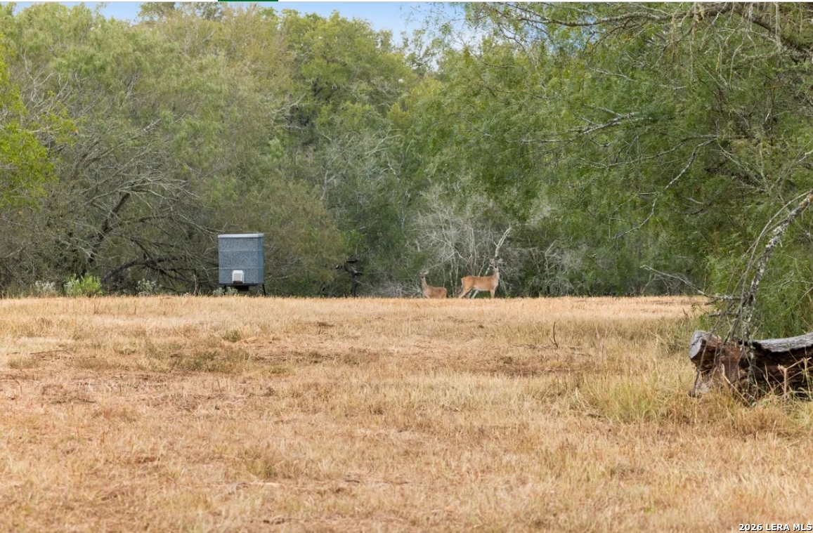 000 CR 171, Nixon, TX 78140