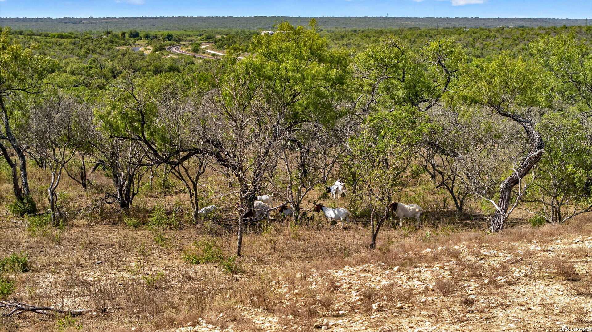 TBD County Road 4514, Devine, TX 78016