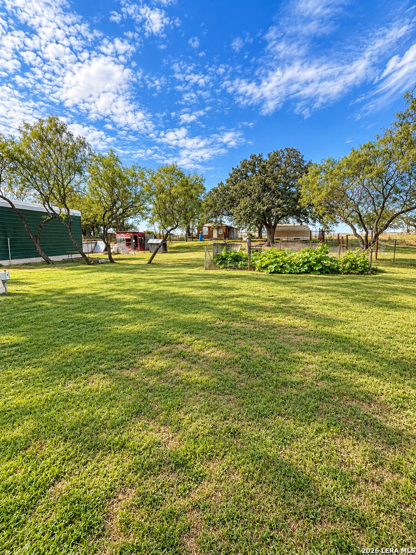 99 GONZALES LN, La Vernia, TX 78121