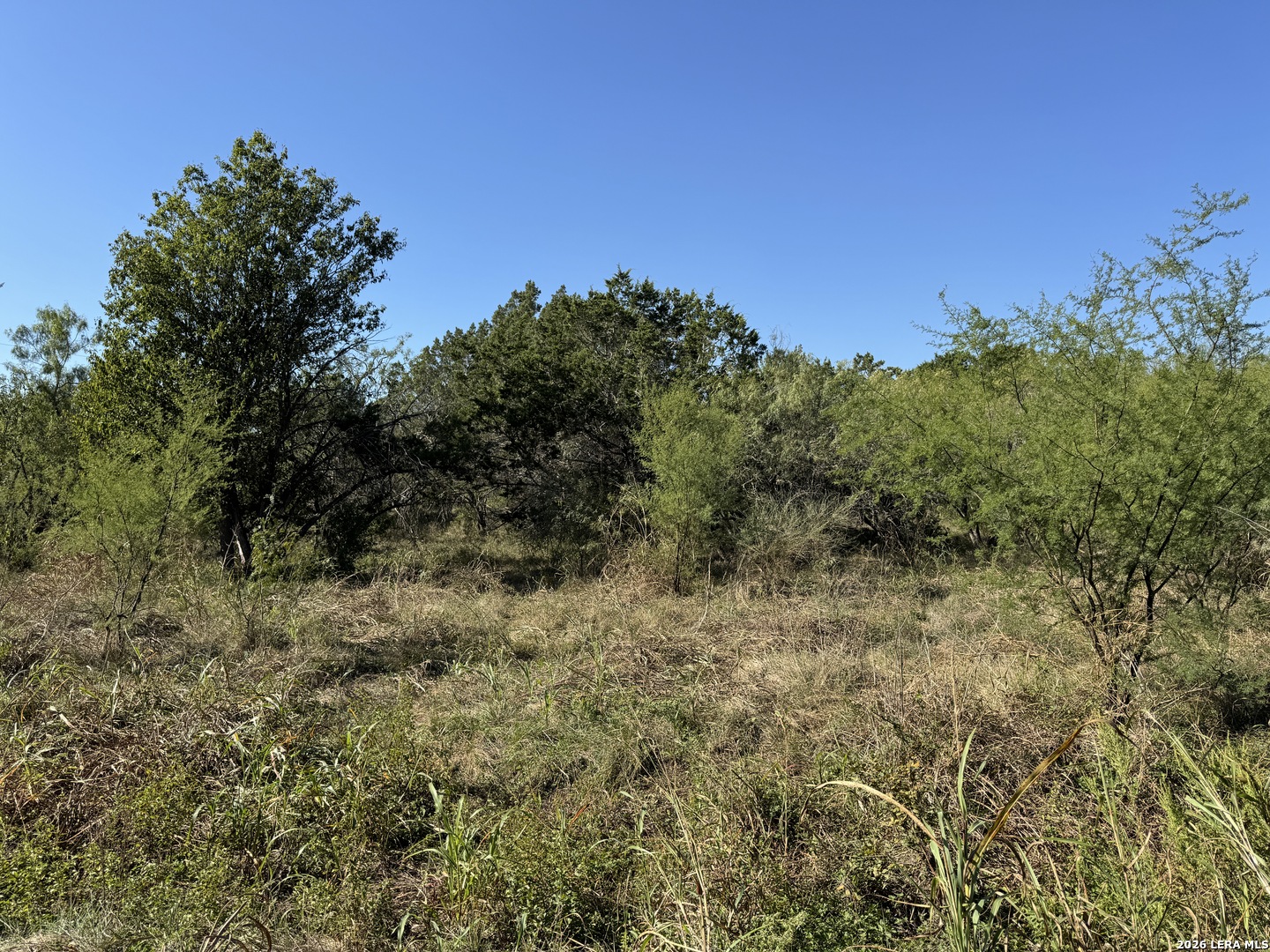 0 Schnieder, Garden Ridge, TX 78266