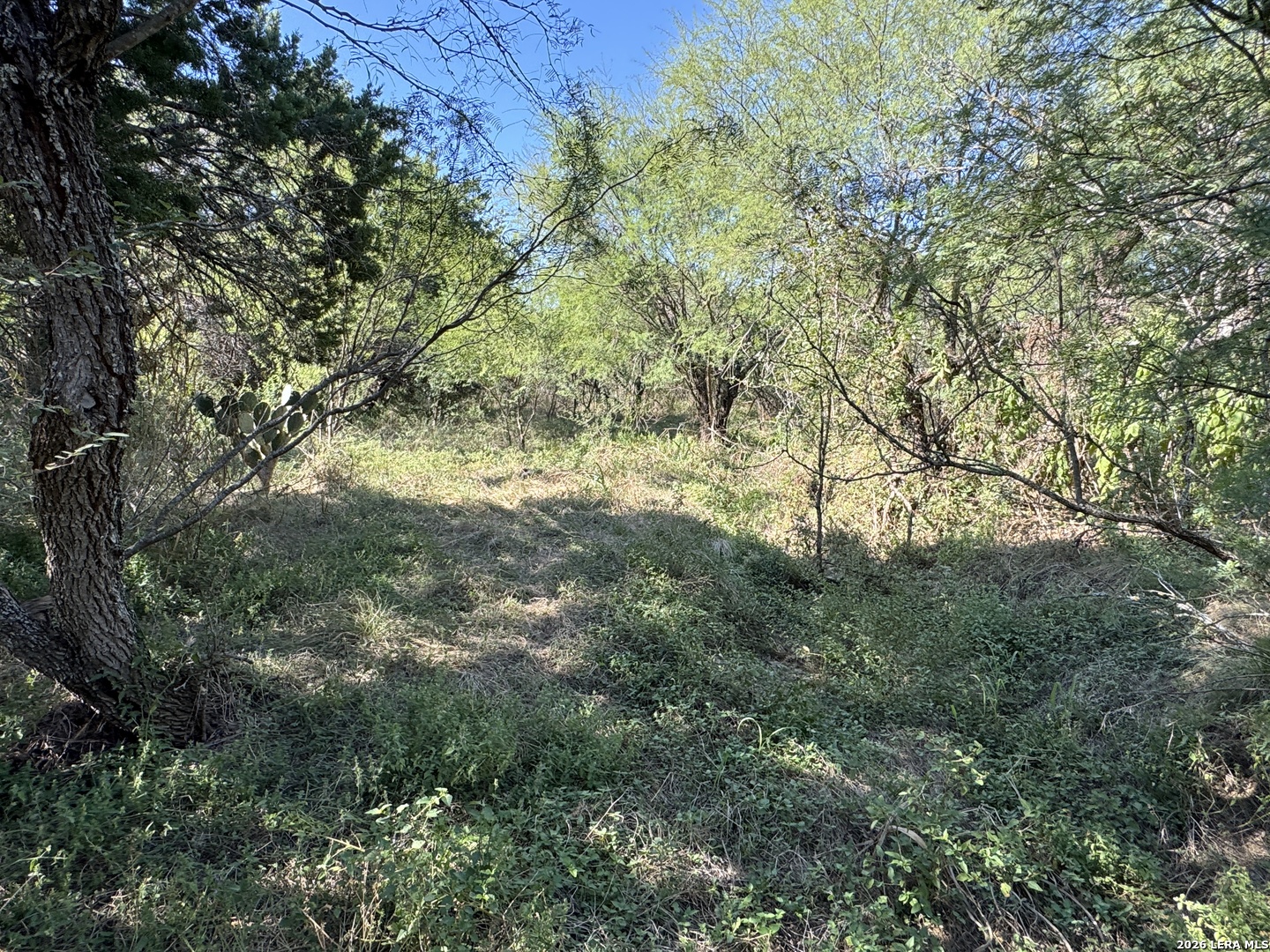 0 Schnieder, Garden Ridge, TX 78266