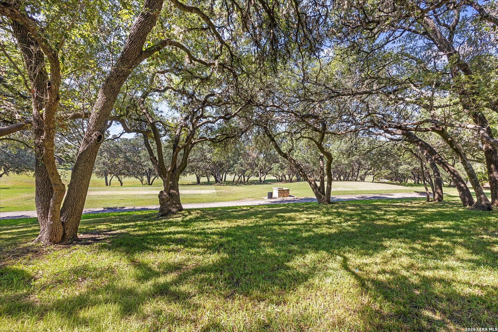 29335 No Le Hace, Fair Oaks Ranch, TX 78015
