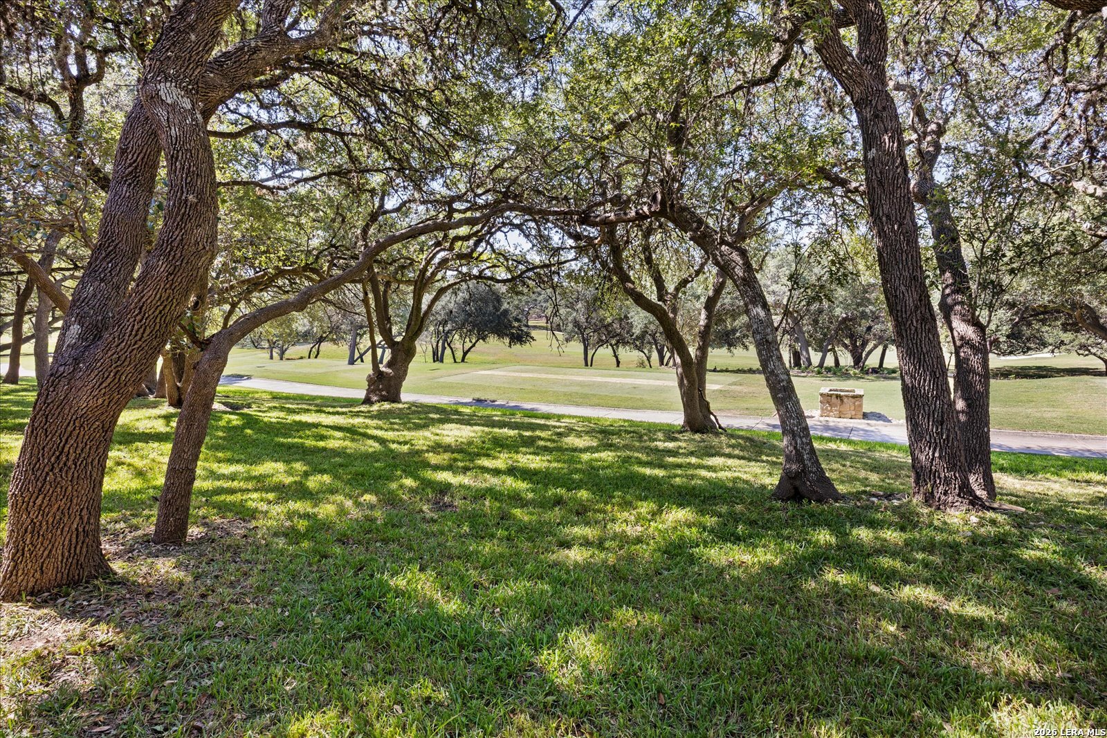29335 No Le Hace, Fair Oaks Ranch, TX 78015