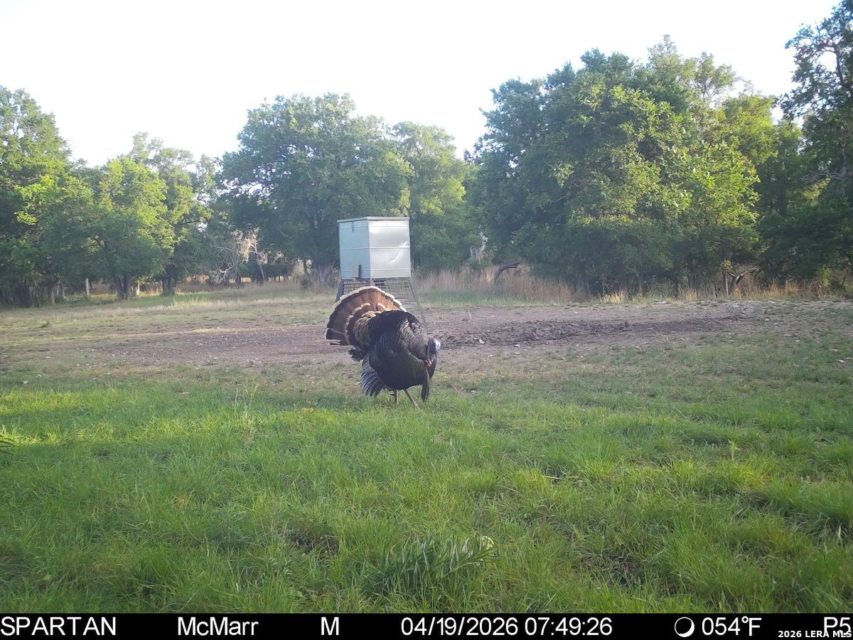 TBD Ranch to Market Road 473, Comfort, TX 78013