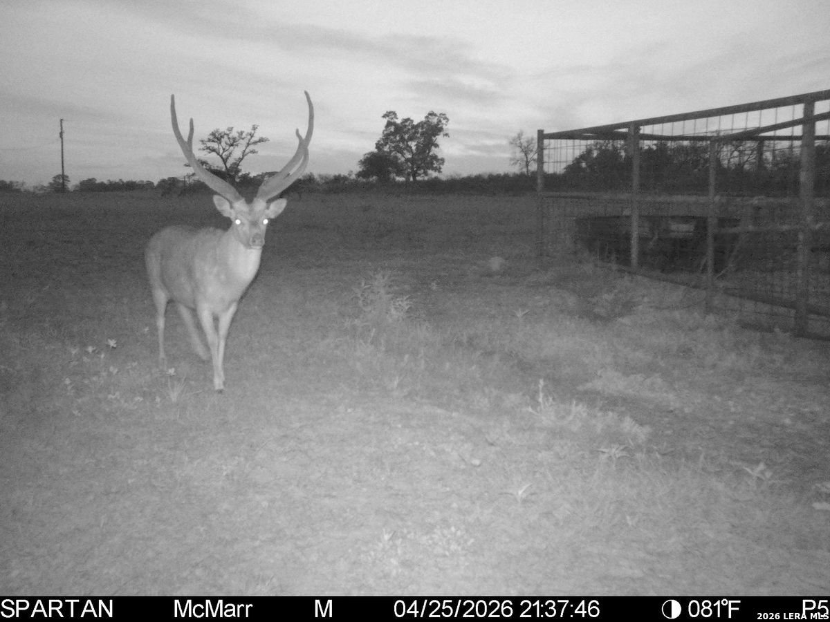 TBD Ranch to Market Road 473, Comfort, TX 78013