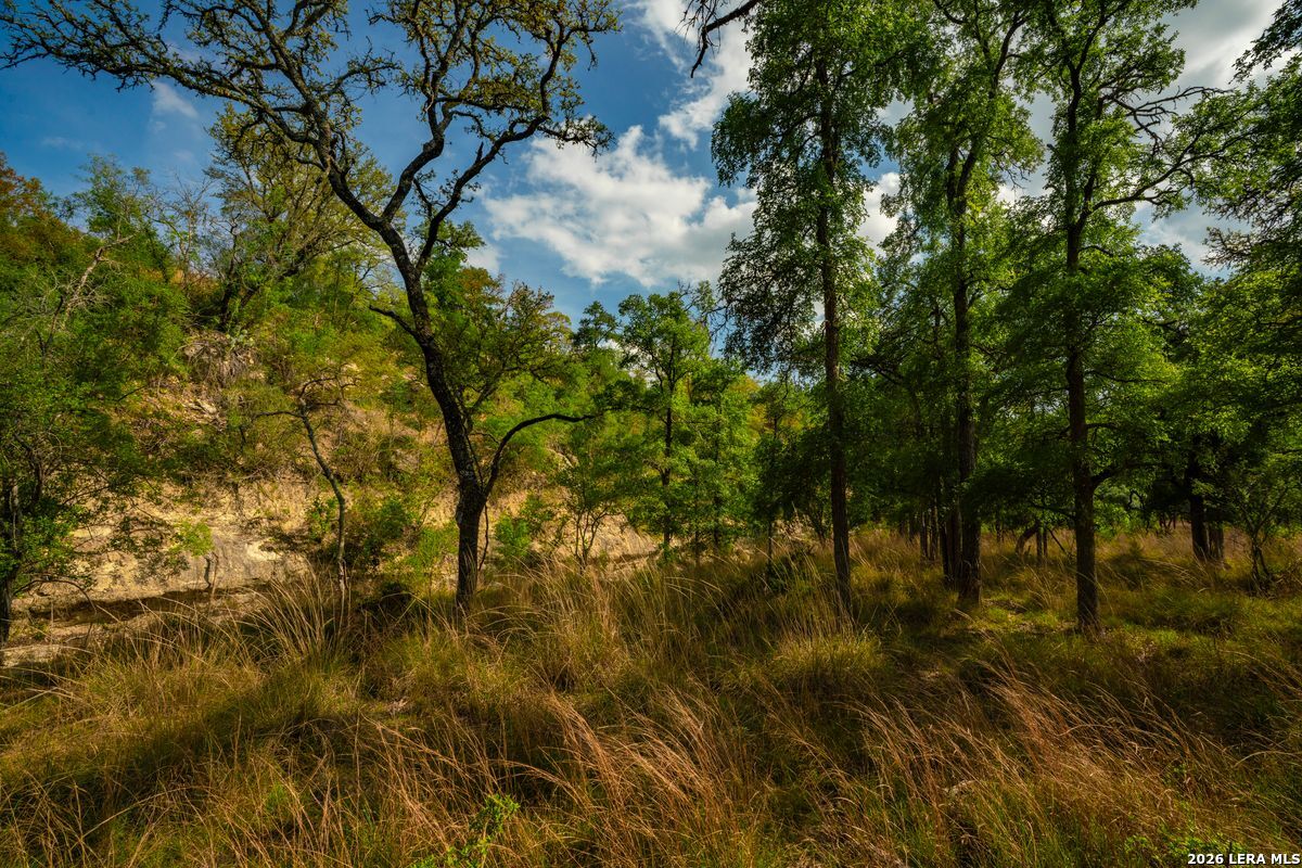 TBD Ranch to Market Road 473, Comfort, TX 78013