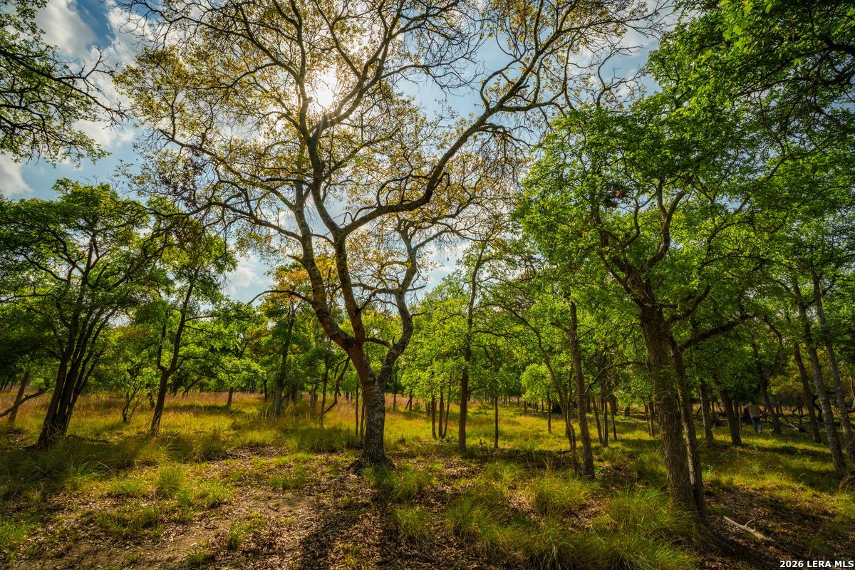 TBD Ranch to Market Road 473, Comfort, TX 78013