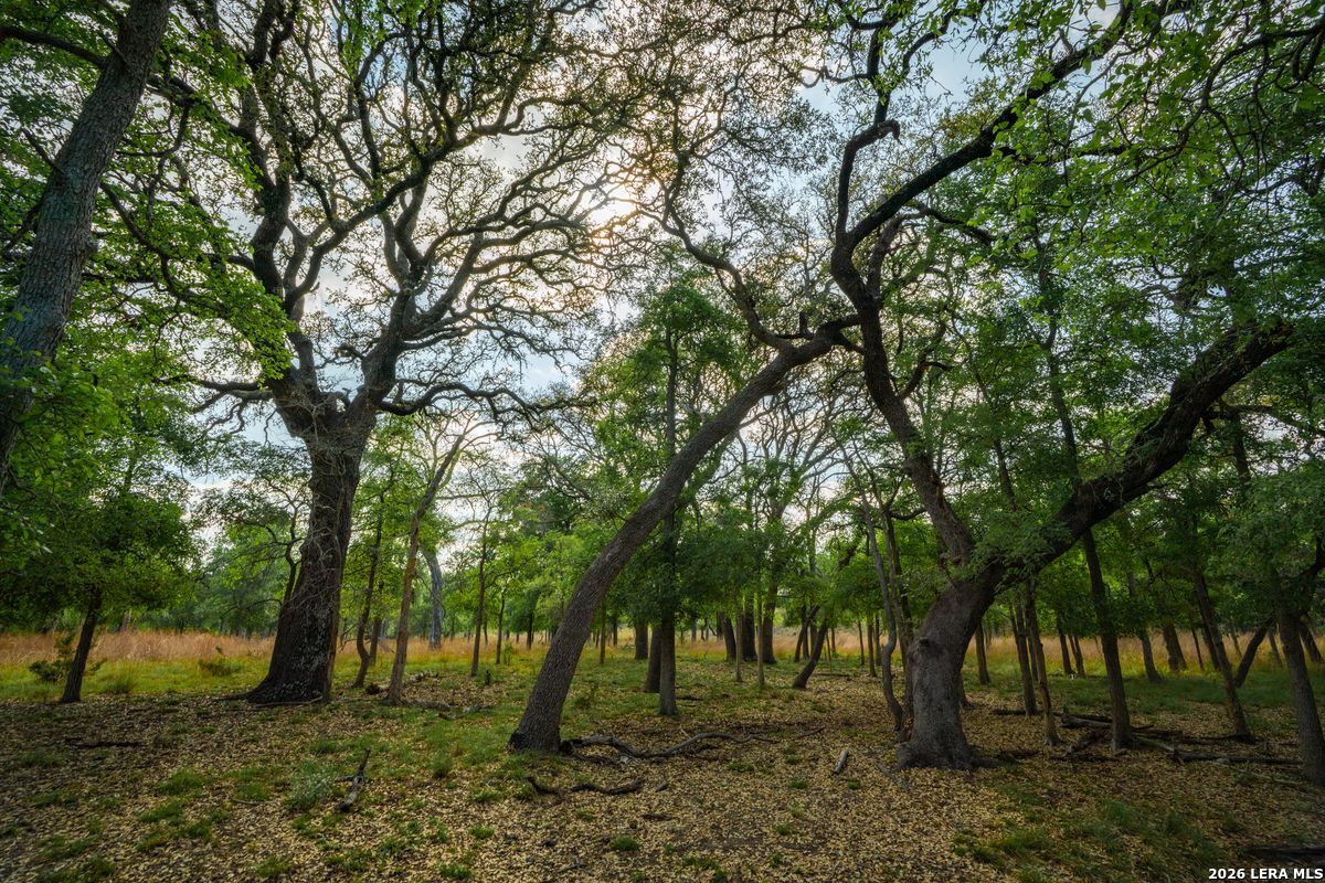 TBD Ranch to Market Road 473, Comfort, TX 78013