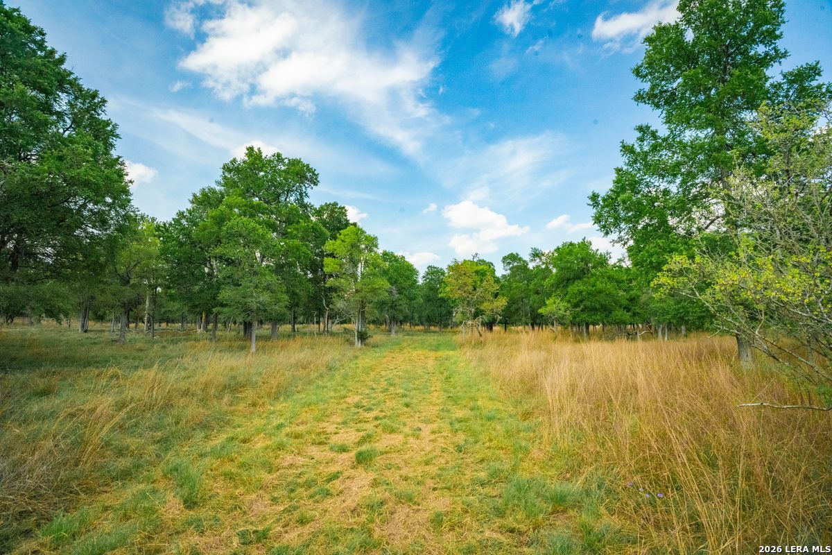 TBD Ranch to Market Road 473, Comfort, TX 78013