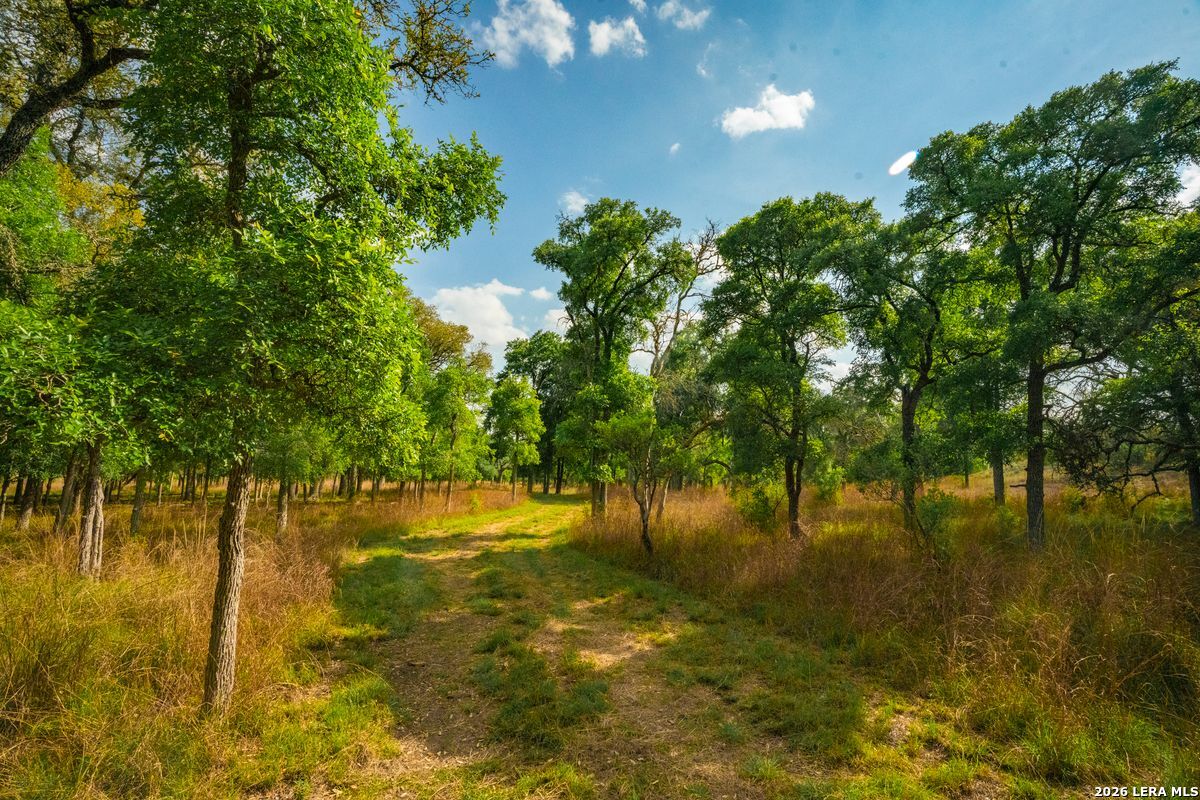 TBD Ranch to Market Road 473, Comfort, TX 78013