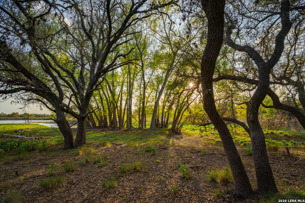 TBD Ranch to Market Road 473, Comfort, TX 78013