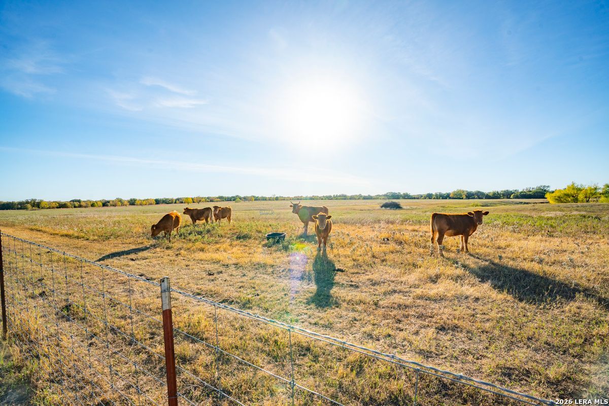 TBD County Road 290, Rising Star, TX 76471