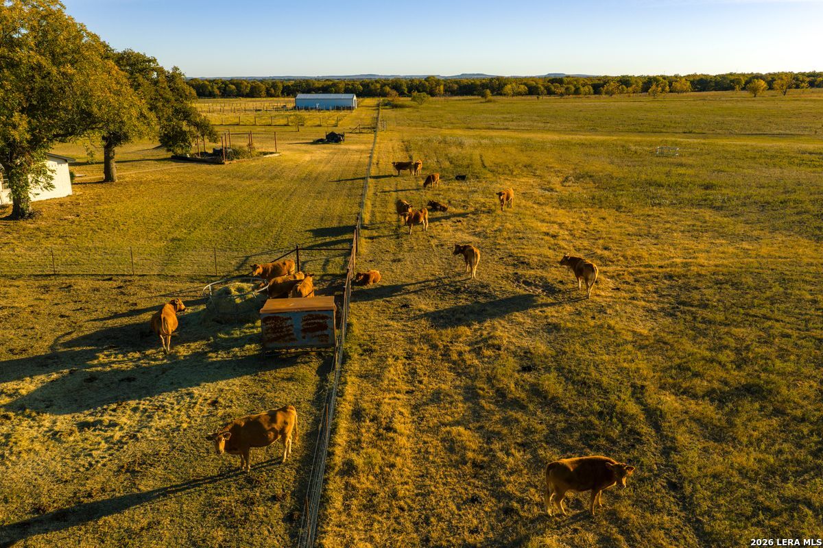TBD County Road 290, Rising Star, TX 76471