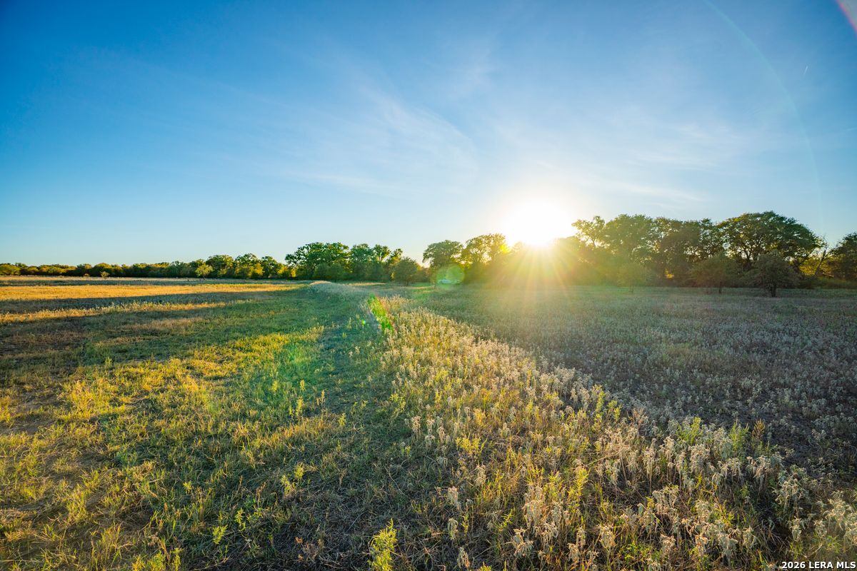 TBD County Road 290, Rising Star, TX 76471