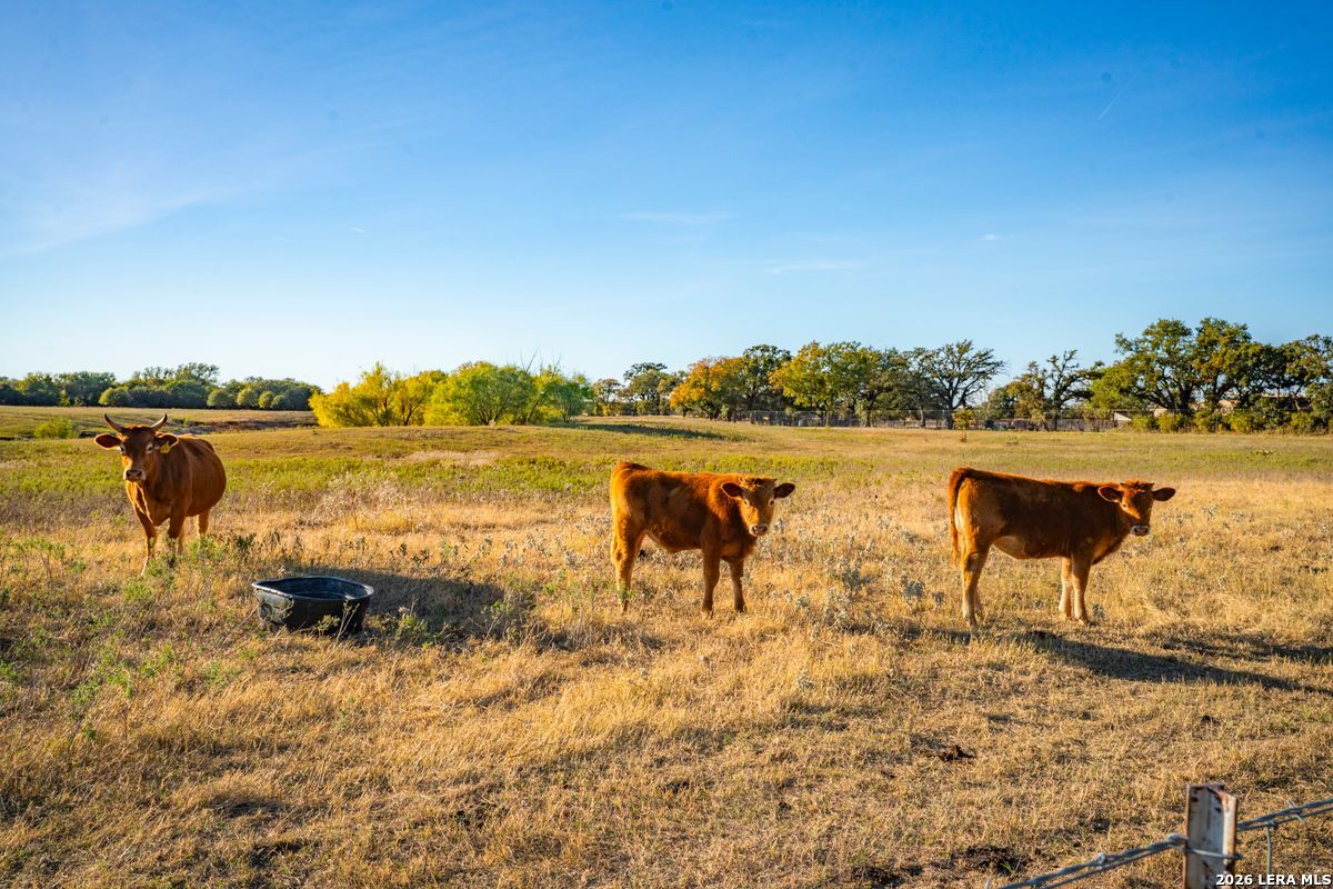 TBD County Road 290, Rising Star, TX 76471