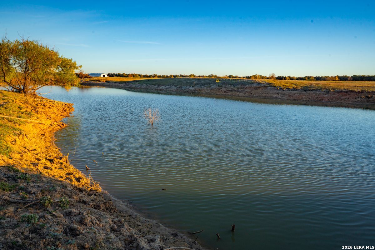 TBD County Road 290, Rising Star, TX 76471
