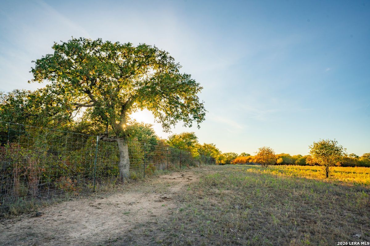 TBD County Road 290, Rising Star, TX 76471
