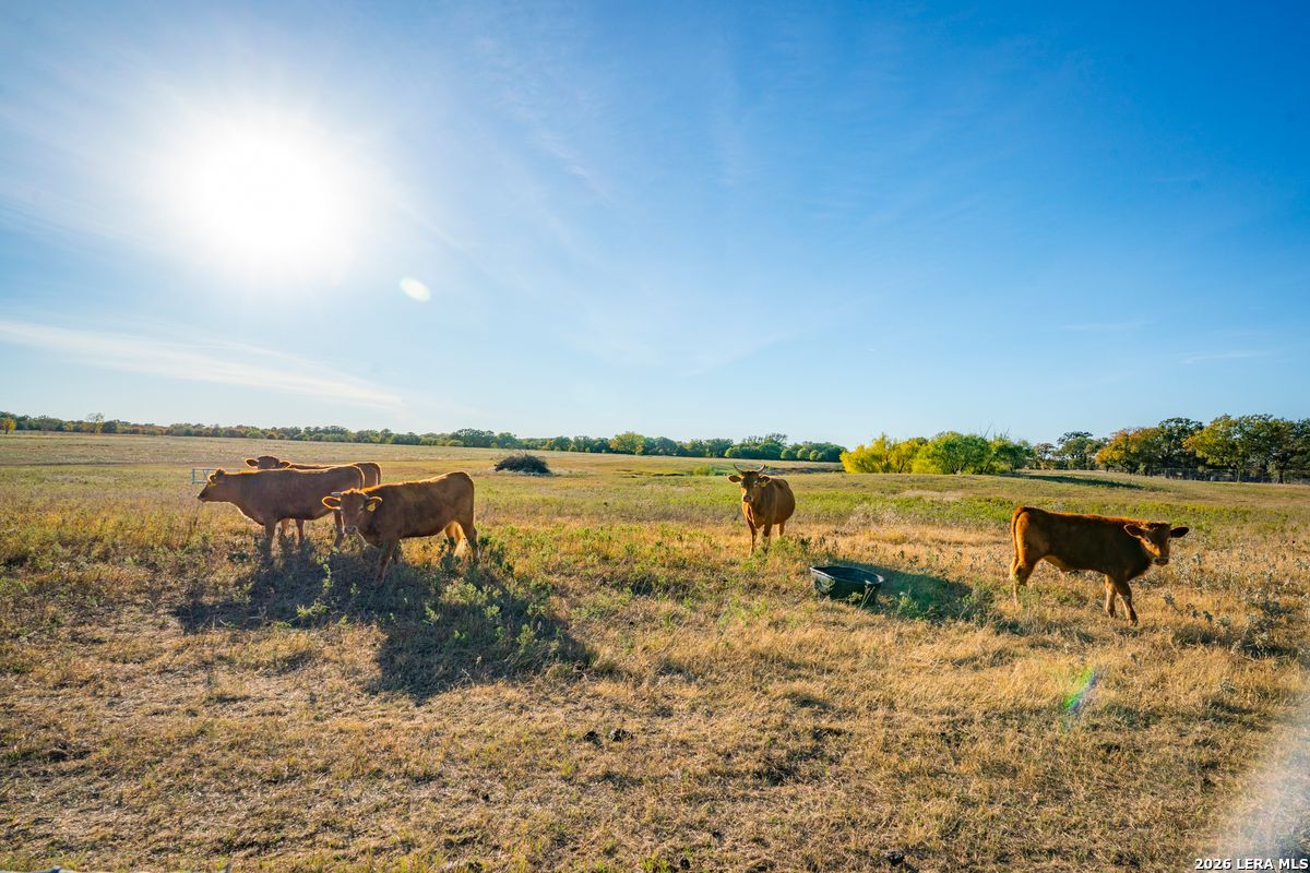 TBD County Road 290, Rising Star, TX 76471