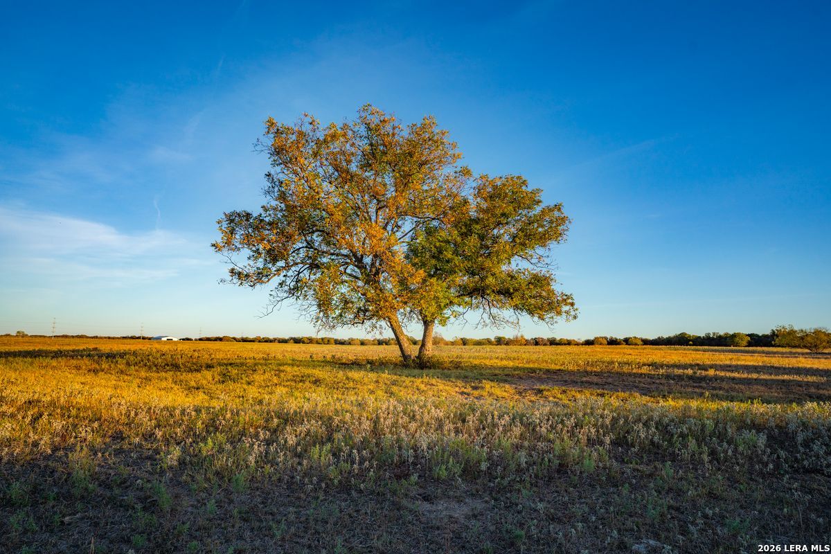 TBD County Road 290, Rising Star, TX 76471