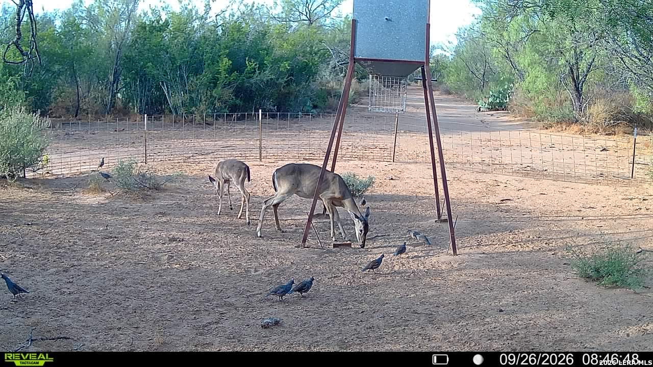 456 ESCONDIDO RD, Carrizo Springs, TX 78834