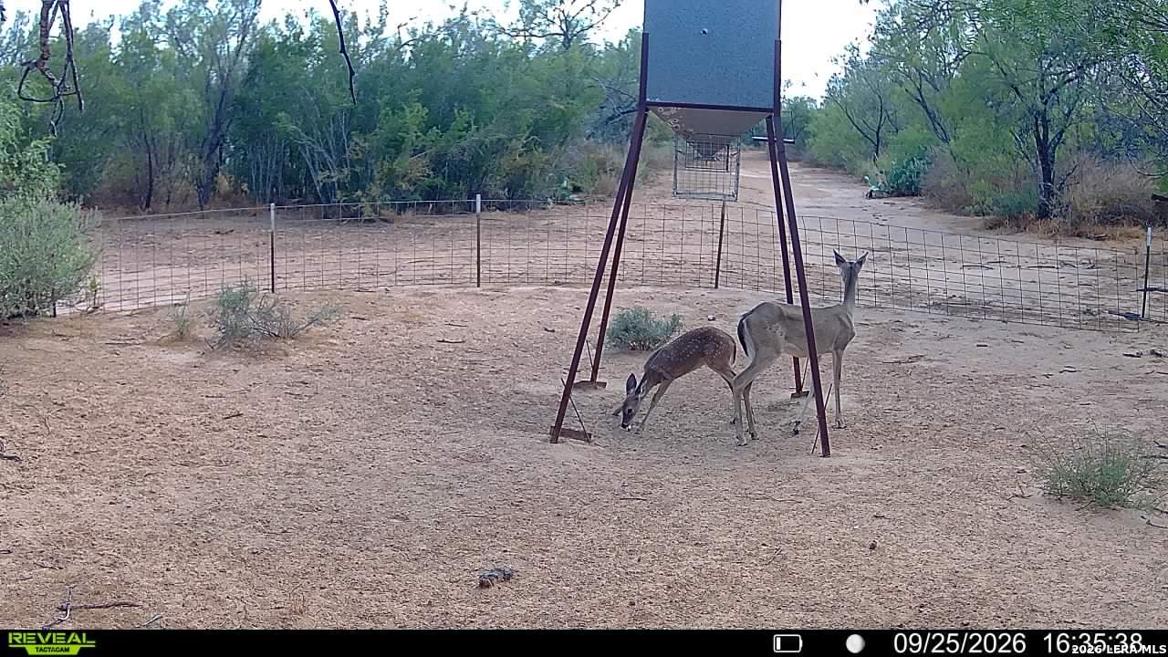 456 ESCONDIDO RD, Carrizo Springs, TX 78834