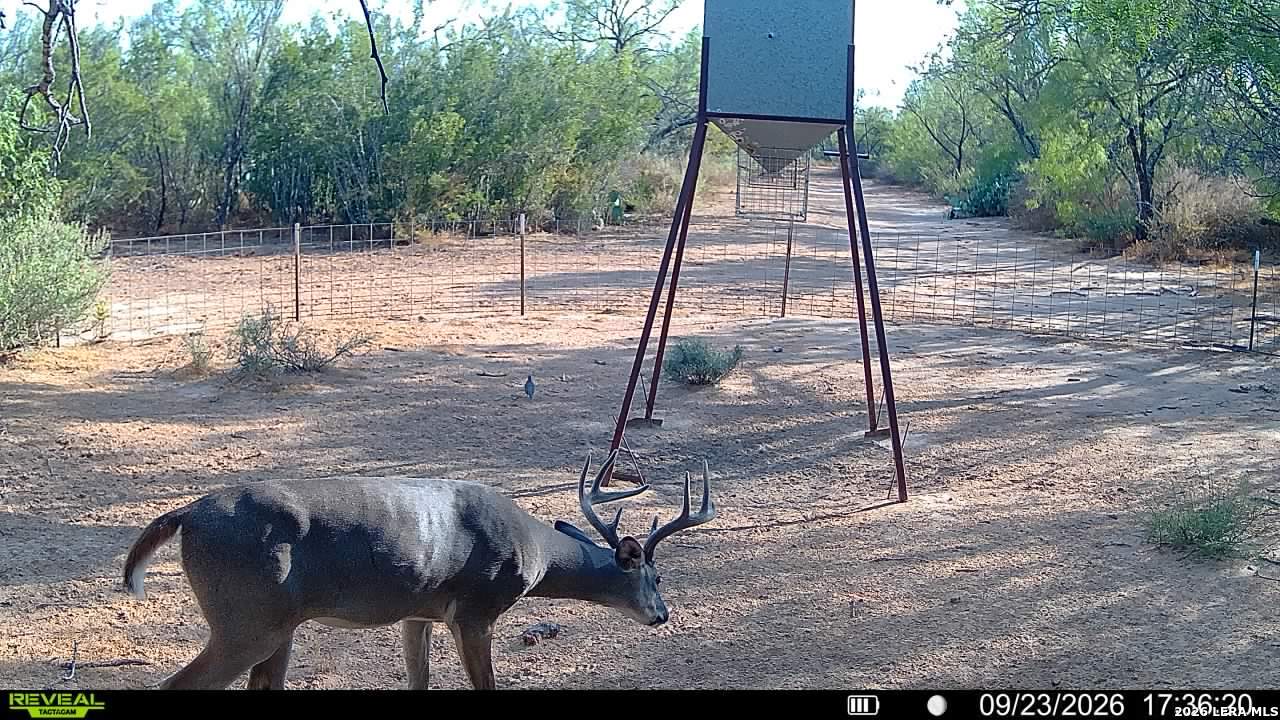 456 ESCONDIDO RD, Carrizo Springs, TX 78834