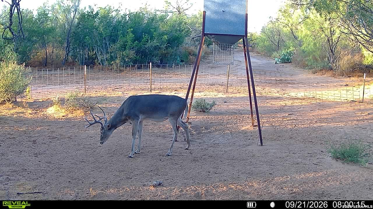 456 ESCONDIDO RD, Carrizo Springs, TX 78834