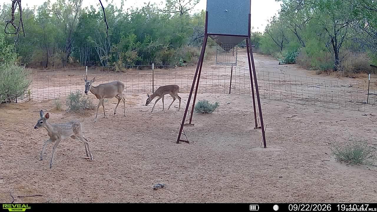 456 ESCONDIDO RD, Carrizo Springs, TX 78834
